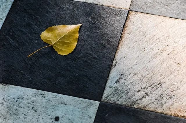 Les meilleures pratiques pour poser du carrelage en extérieur